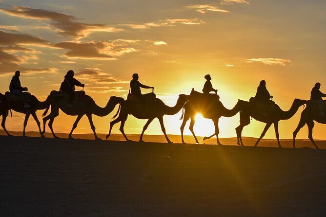 Marrakech Agafay Desert Sunset dinner & show Fire & Berber music - Stop at the Argan Oil Cooperative