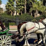 Marrakech: Agfay desert, Dinner Show & Camel ride with Quad bike - Practical Considerations and Value