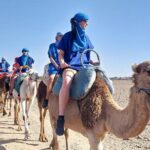 Marrakech: Atlas Mountains, Villages, Waterfalls Tour with Lunch - Potential Drawbacks or Considerations