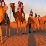 Marrakech Camel Ride - What to Expect and Consider