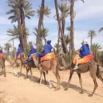 Marrakech Camel Ride Experience with Pick-up - The Experience: Why It’s Worth It