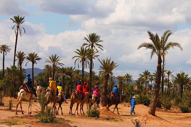 Marrakech Camel Ride in Palmeraie - FAQ