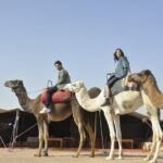 Marrakech: Camel ride in the palm grove - Why This Tour Works Well
