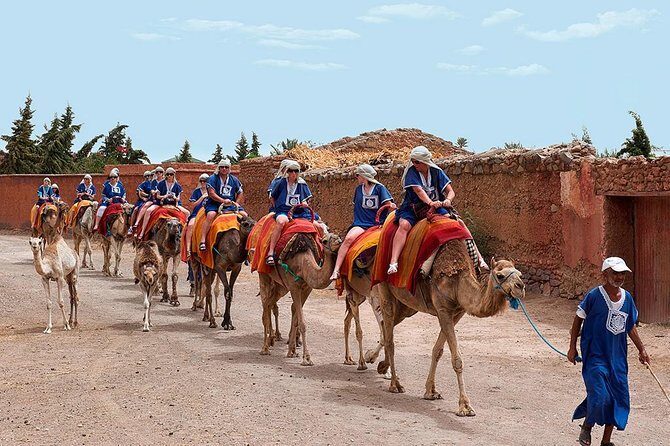 Marrakech Camel Ride Tour - The Itinerary Breakdown