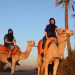 Marrakech: Camels & Quads on Sunset with Luxury Dinner, Fireshow - What Works Well: Highlights and Authentic Touches