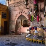 Marrakech City Highlights Half-Day Tour - The Guides and Transport