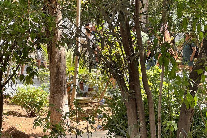Marrakech City Tours : Morning & Afternoons Options - The Sum Up