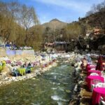 Marrakech day tour to Atlas Mountains & Ourika valley - Transport and Convenience