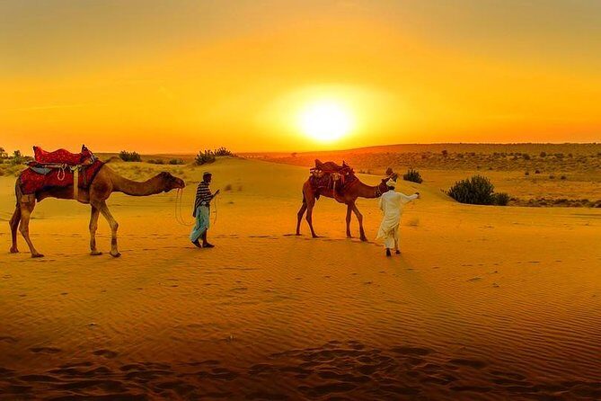 Marrakech Day Trip: Agafay Desert, Atlas Mountains and Camel Ride - Key Points