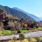 Marrakech Day Trip to Ourika Valley & Atlas Mountains - Who Should Consider This Tour?