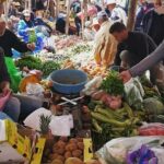 Marrakech: Day Trip to ourika valley & Atlas Mountains - Who Should Consider This Tour?