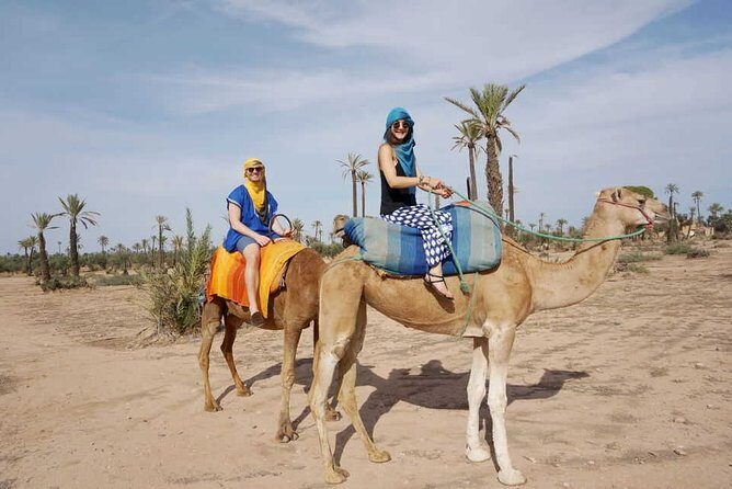 Marrakech Day Trip to the Atlas Mountains, Four Valleys and Camel Ride waterfall - What the Reviews Say