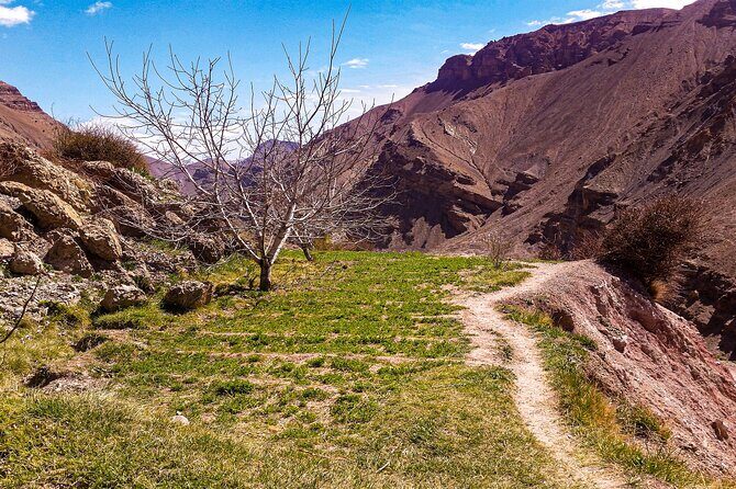 Marrakech & Desert 3-Days - A Complete Breakdown of the 3-Day Marrakech & Desert Experience