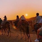 Marrakech Desert : Quad Biking, Camel Ride, Dinner Show - Camel Ride: An Authentic Touch