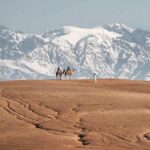 Marrakech Desert Tour & Sunset Camel Ride with Dinner Show - What Makes This Tour Stand Out?