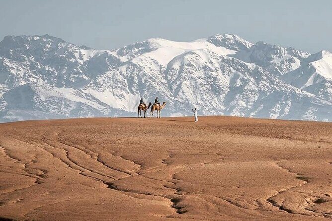 Marrakech Desert Tour & Sunset Camel Ride with Dinner Show - What Makes This Tour Stand Out?