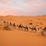 Marrakech Desert Tours & Morocco Imperial Cities Tour - Practical Details & Considerations