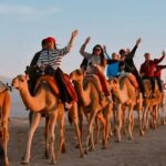 Marrakech: dinner in Agafay desert with a fire show & camel ride - Dinner in the Desert Camp: Tasting Morocco