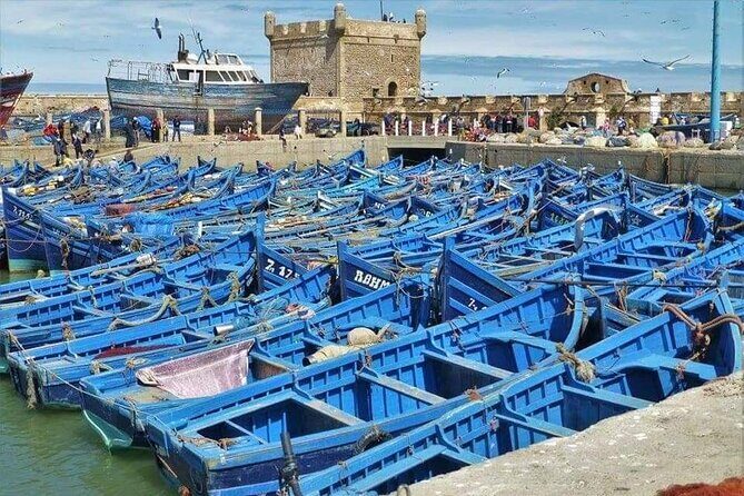 Marrakech - Essaouira Day trip - Who Is This Tour Best For?