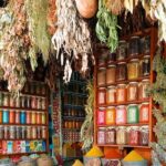 Marrakech Excursion Mini Group Camel Ride from Casablanca - What Travelers Say: Real Insights from Reviews