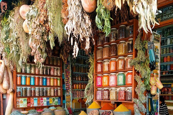 Marrakech Excursion Mini Group Camel Ride from Casablanca - What Travelers Say: Real Insights from Reviews