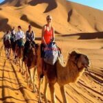 Marrakech Fes 3 days desert tour - Summary: Who Is This Tour Perfect For?