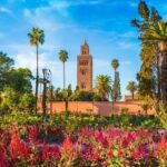 Marrakech Full Day Guided City Tour - Private Tour - Who Should Book This Tour?
