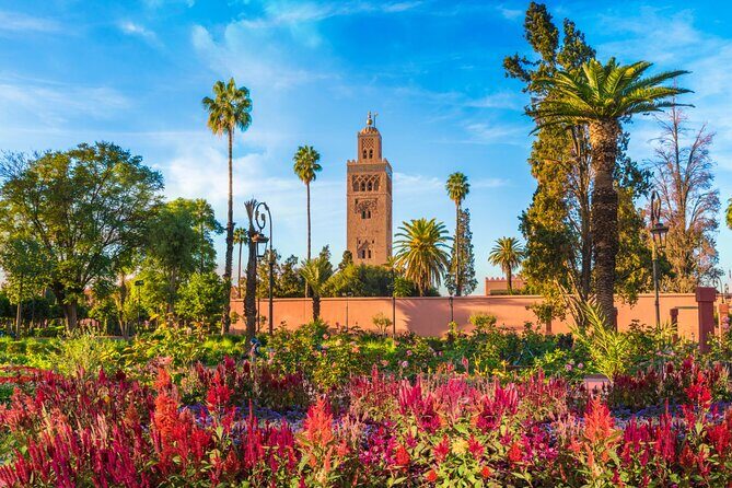 Marrakech Full Day Guided City Tour - Private Tour - Who Should Book This Tour?