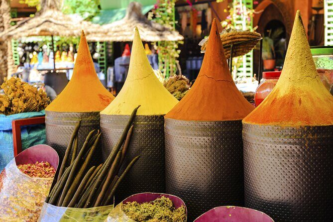 Marrakech Guided Day Trip from Casablanca: Djemaa el-Fna Square and Bahia Palace - Who Would Love This Tour?