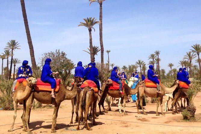 Marrakech Half-Day Camel Ride in Palm Grove - Why This Tour Offers Great Value