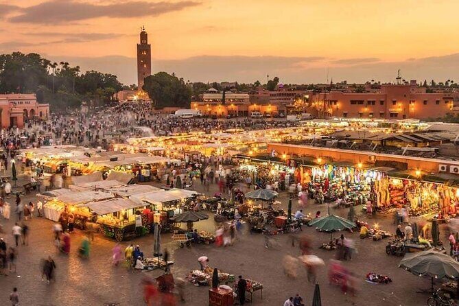 Marrakech half day city tour - Practical Details & What to Expect