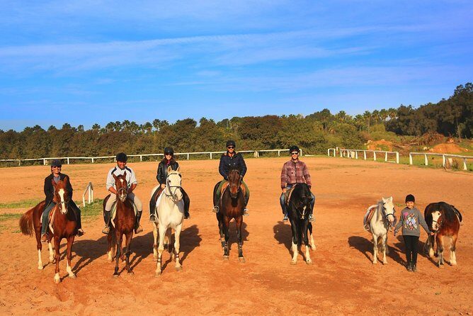 Marrakech Horse Riding - The Practical Side: Pricing, Booking, and Value