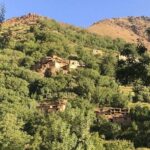 Marrakech Imlil day tour - Overview of the Marrakech Imlil Day Tour