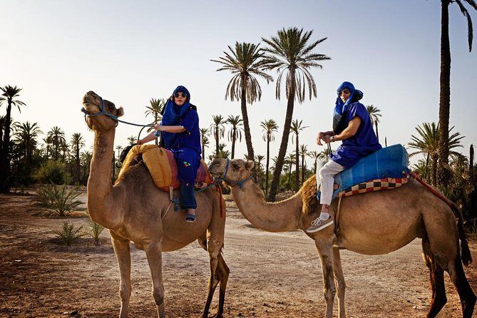 Marrakech Oasis Escape: Camel Ride & Quad Bike Adventure - Quad Biking: An Exciting Ride Through Stunning Scenery
