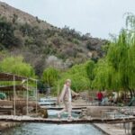 Marrakech: Ourika Valley, Atlas Mountains, Waterfall Hike & Lunch - Who Will Love This Tour?