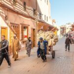 Marrakech: Palace, Museum, Madrasa & Medina Highlights Tour - What You Can Expect from the Marrakech Highlights Tour