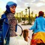 Marrakech Palmeraie: Camel Ride at Sunset - The Sum Up