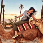 Marrakech Palmeraie Tour with 1 Hour Camel Ride - The Sum Up