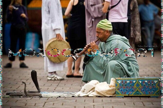 Marrakech Private Tour ( All Comfort ) - What Does the Tour Include?