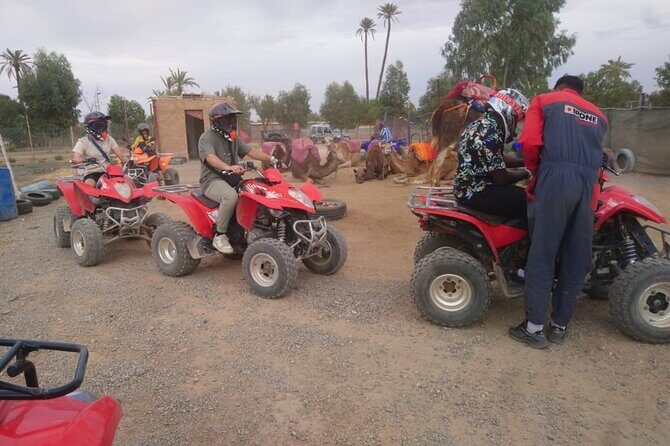 Marrakech Quad Bike Activity in desert palmeraies grove - Logistics and Practical Details