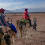 MARRAKECH QUAD BIKE : Sunset & Dinner Show & Camel Desert - Who This Tour Is Best For