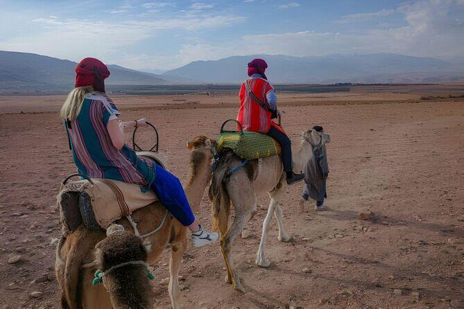 MARRAKECH QUAD BIKE : Sunset & Dinner Show & Camel Desert - Who This Tour Is Best For