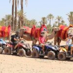 Marrakech Quad Biking and Camel Riding Tour - Authentic Experiences and Reviews