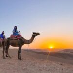 Marrakech: Sunset Dinner in Agafay Desert and camel ride - Summary & Who It’s Best For