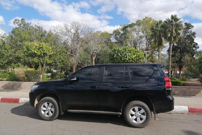 "Marrakech to Casablanca Airport: Your Exclusive Private Ride" - The Real-Life Perks: Insights from Reviewers