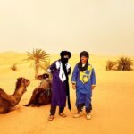 Marrakech To Casablanca Tour - What Travelers Say