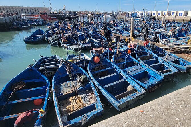 Marrakech to Essaouira Day Tour: History, Culture, and Sea - Logistics & Practical Tips