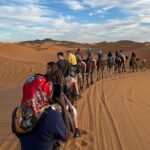 Marrakech To Fes 3 Day Sahara Desert Group Tour - Who Will Love This Tour?