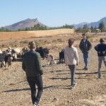 marrakech to fes desert tour 2 days - What’s Included and Not Included