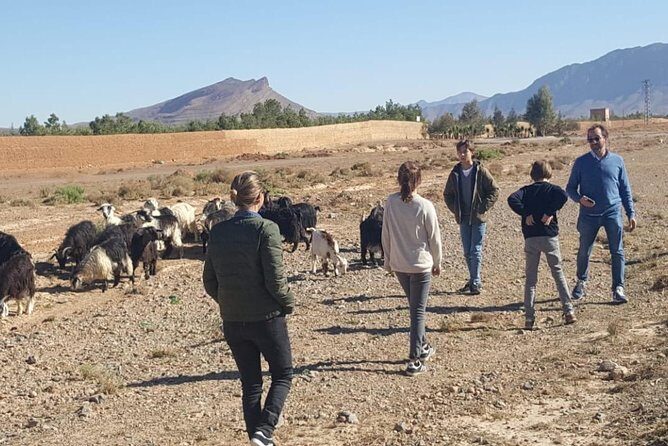 marrakech to fes desert tour 2 days - What’s Included and Not Included
